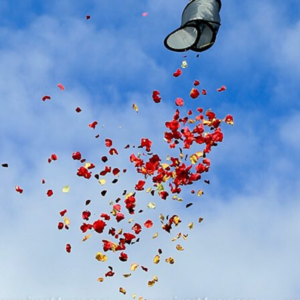 Flower Shower